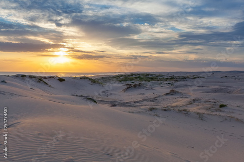 Beautiful sand dunes near the ocean at sunset. Anna Bay  New South Wales  Australia