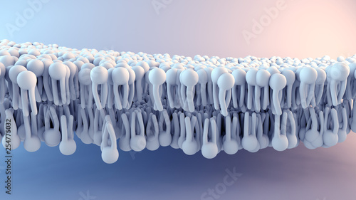 Cell Membrane structure in motion photo