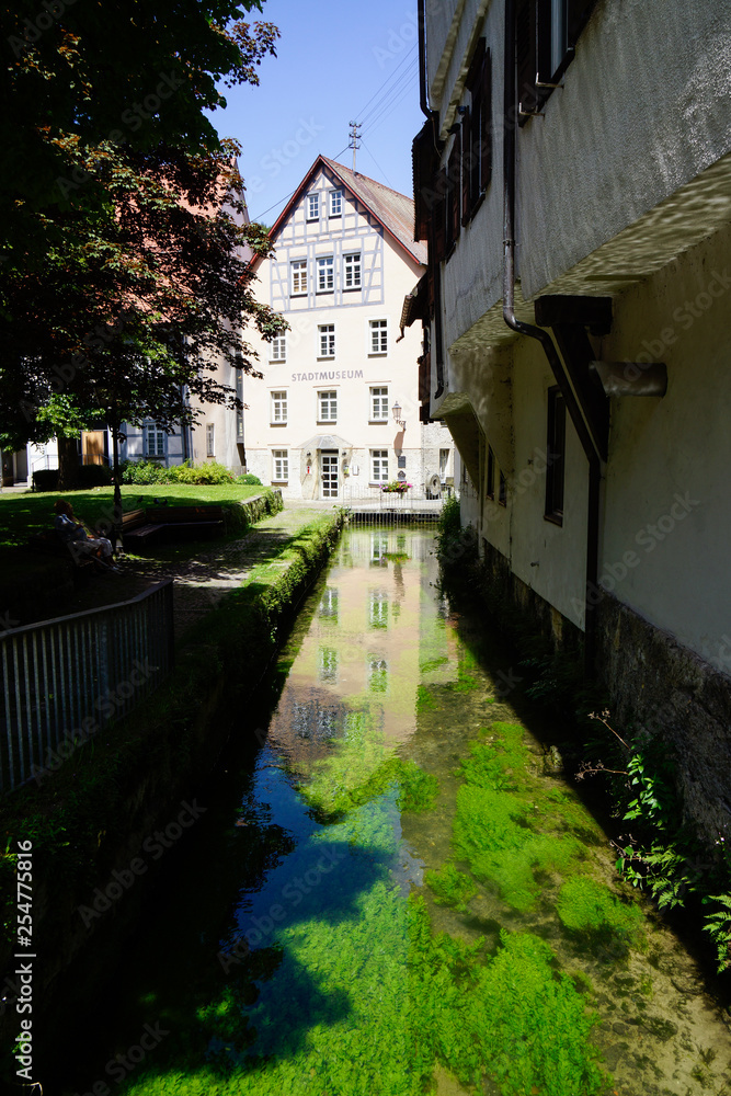 water stream with clear blue water and plants in bad urach