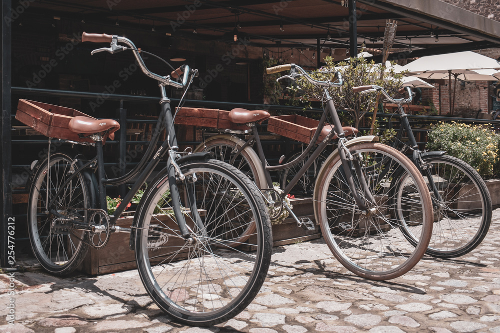 Bicicletas vintage