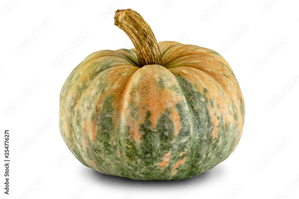 Yellow-green pumpkin isolated on white background Yellow-green pumpkin isolated on white background