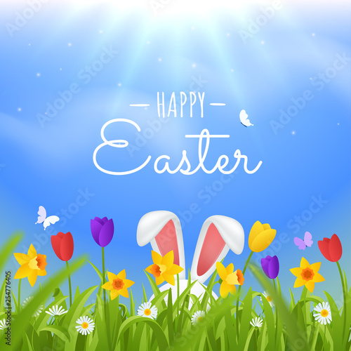 Happy easter greeting card. Easter rabbit ears sticking out of the grass vector illustration. Green lawn with spring flowers against the sky. Bright natural background. Eps 10.