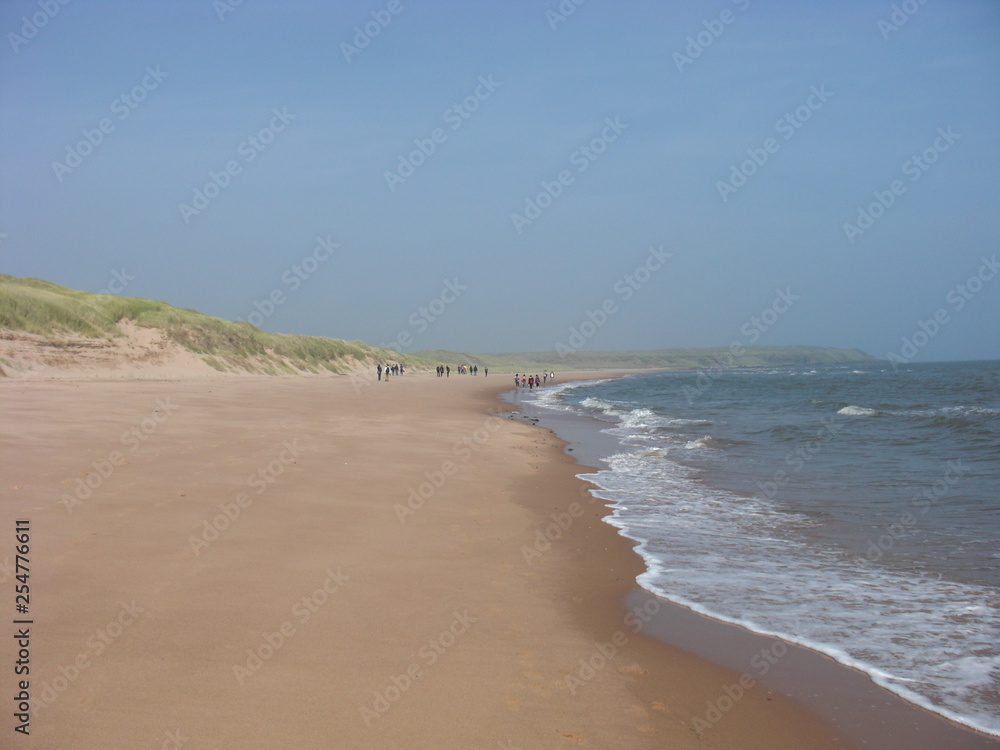 Sandy Beach and Sand Dunes Landscape III