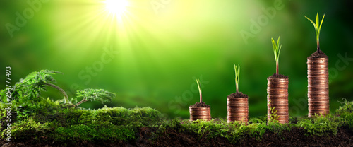  Young Plants Growing Out Of Stacks Of Coins In Lush Mossy Garden - Investing / Business Success Concept