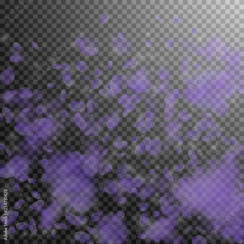 Violet flower petals falling down. Shapely romanti