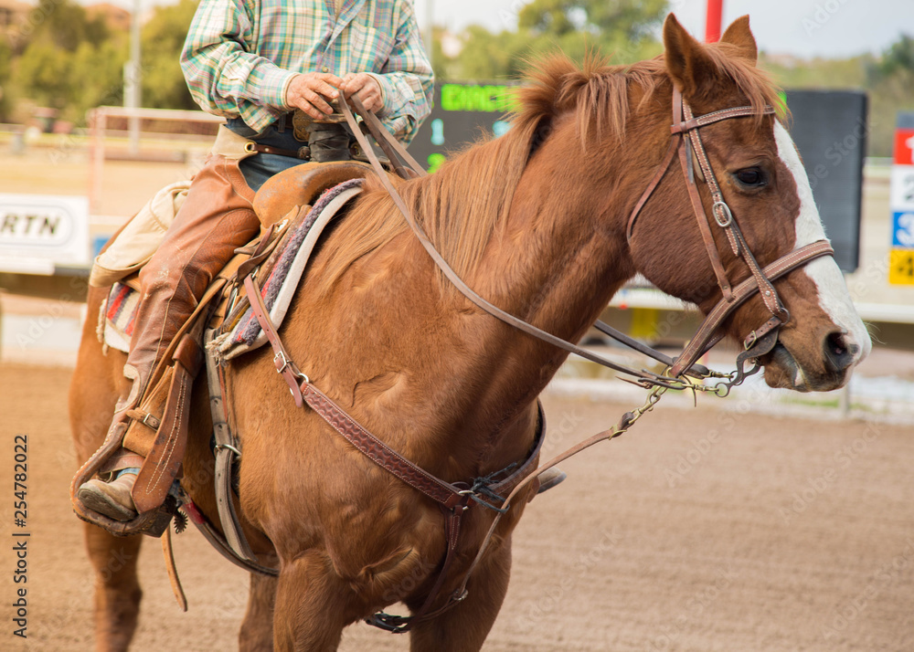 Obraz premium man horseback riding on a brown horse on a race track. 