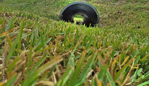Tunnel Through The Grass