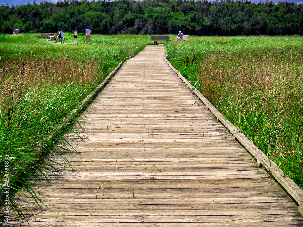 Boardwalk at McCormack's Beach Provincial Park, Nova Scotia