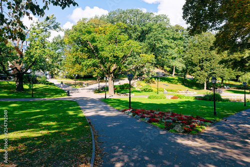 Fototapeta Naklejka Na Ścianę i Meble -  Central park in Riga of Latvia