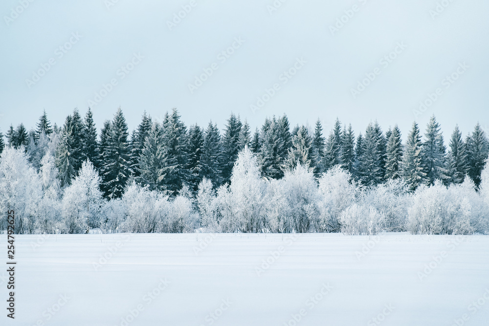 Snowy countryside and forest in winter Rovaniemi - obrazy, fototapety, plakaty 