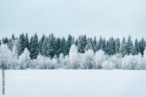 Panel kuchenny z motywem Snowy countryside and forest in winter Rovaniemi