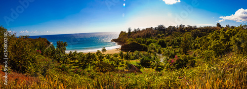 Wide angle shot of ocean and palm trees