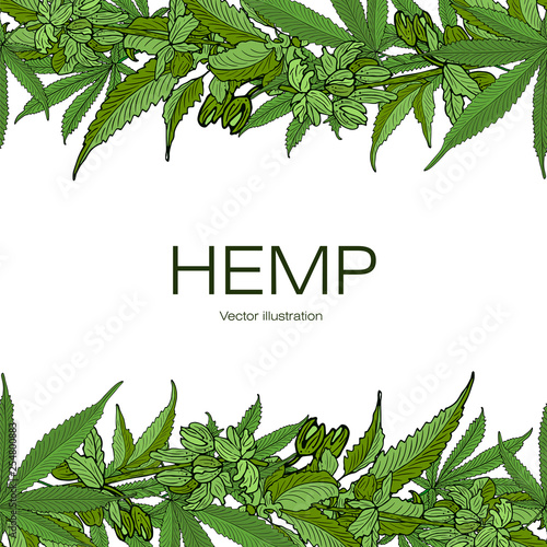 Template hemp