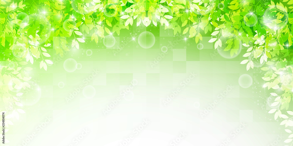      新緑　葉　緑　背景 
