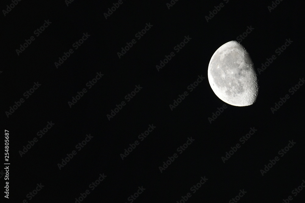 Obraz premium black-and-white months ahead of schedule