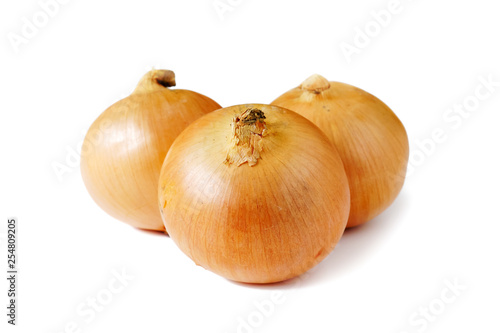 Wallpaper Mural 玉葱　白背景 Torontodigital.ca