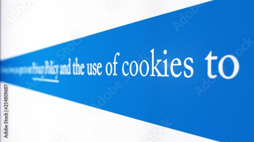 Simulated computer screen with text description about Cookies and Privacy Policy