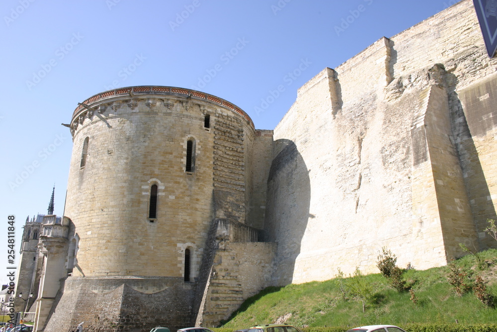 Château médiéval d'Amboise-3