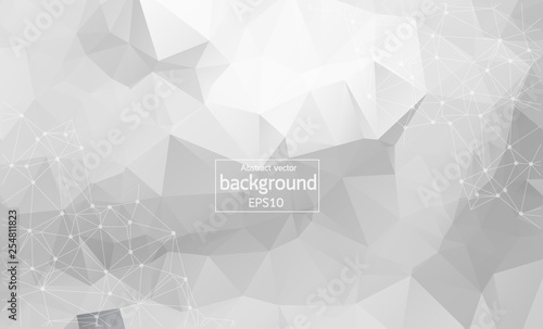 Network Connecting dot polygon background on isolated white background