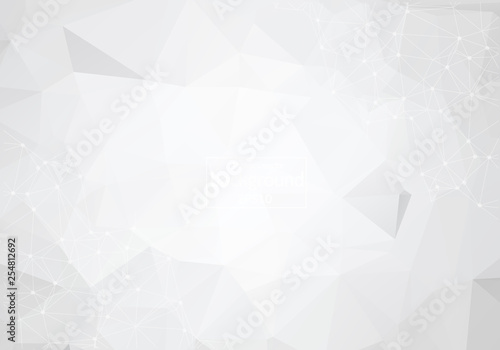 Abstract white triangle polygonal background. Vector illustration