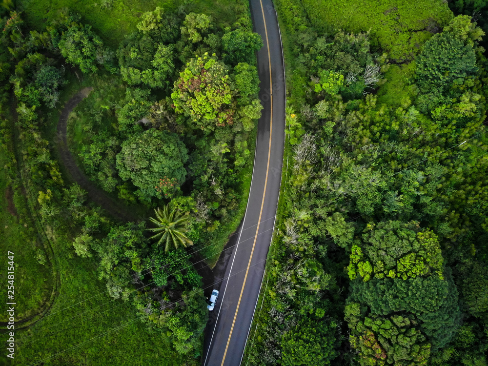 An aerial view of the famous Road to Hana (Hana Highway) in Maui, Hawaii 