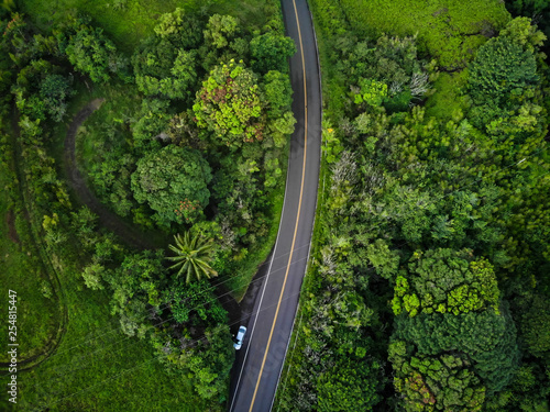 An aerial view of the famous Road to Hana (Hana Highway) in Maui, Hawaii  photo