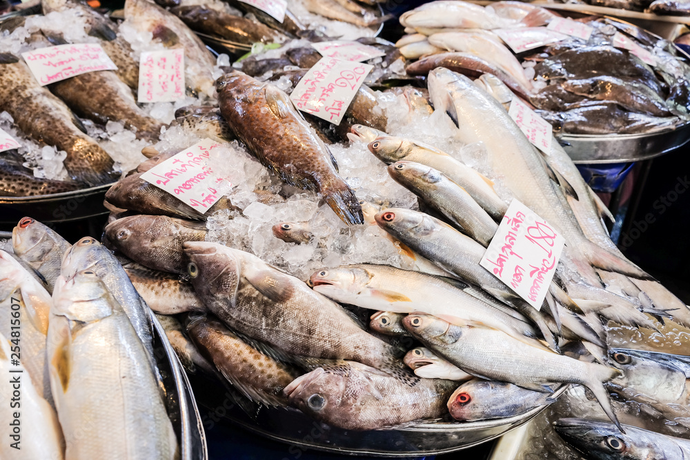 Grouper sea fish with fresh seafood on ice Grouper sea fish with fresh seafood on ice