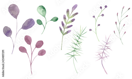 Watercolor silver  green  purple  violet leaves and branches on a white background. Ideal for cards and invitations.