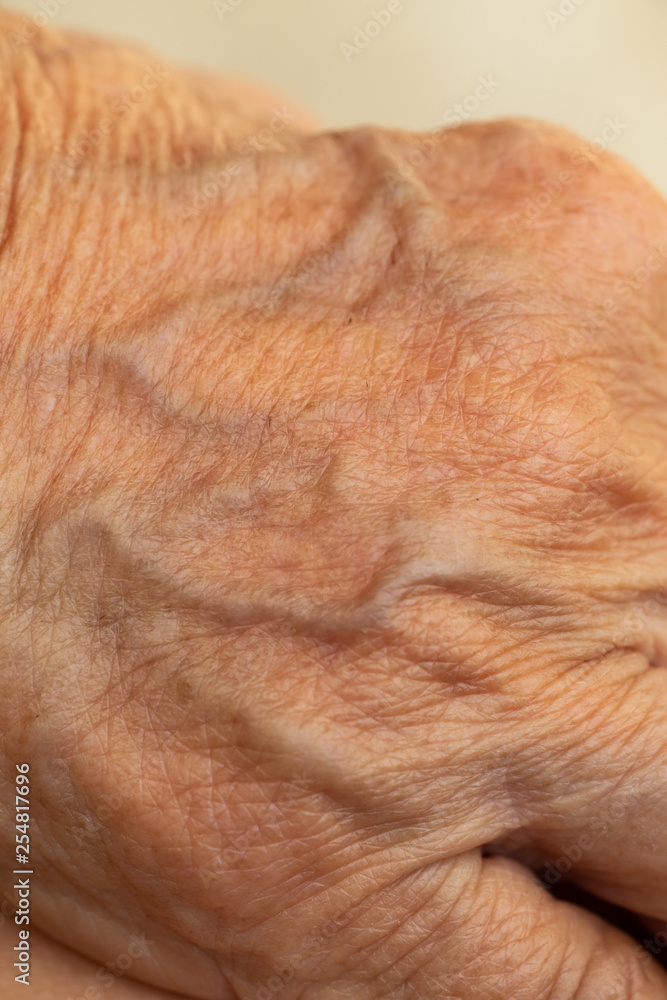 Fototapeta premium Senior woman's wrinkled skin texture of blood in back of the hand, Close up & Macro shot, Selective focus, Body part, Healthcare concept