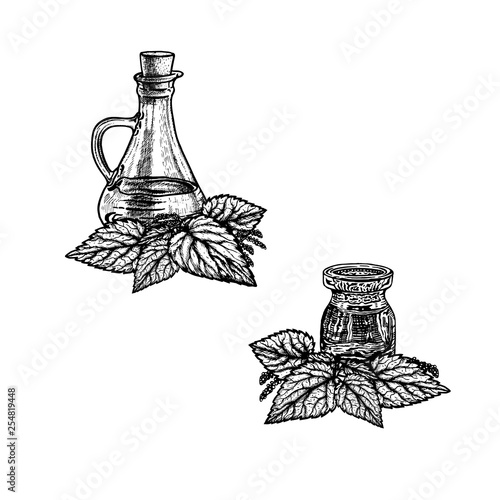 Hand drawn sketch of nettle oil. Extract of plant. Vector illustration