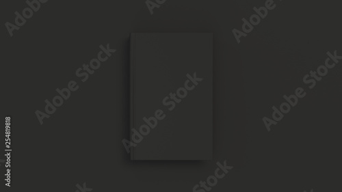 Mockup of blank vertical book
