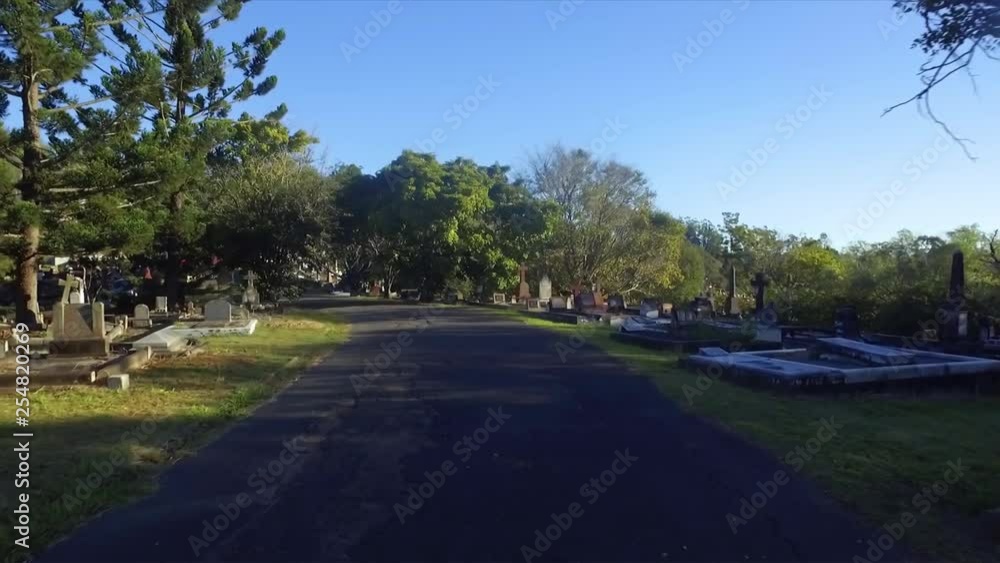 Aerial drone low level shot along cemetery road and under tree branch Aerial drone low level shot along cemetery road and under tree branch