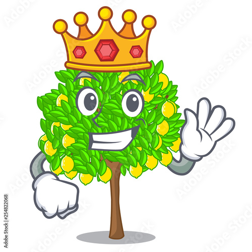 King lemon tree in the pot character