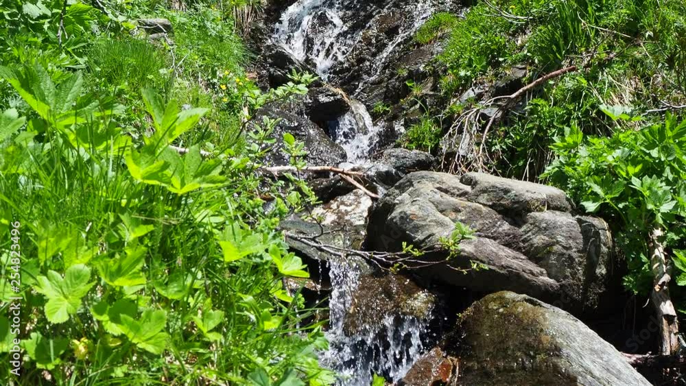 Creek at Italian Alps. Clean and pristine water Creek at Italian Alps. Clean and pristine water