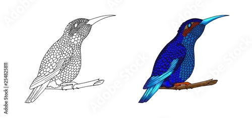 Small hummingbird. Exotic tropical colibri animal icon. Golden emerald feathers