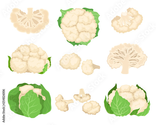 Cauliflower set. Organic food concept. Vector illustration. photo