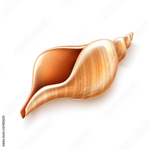 Vector pearl seashell mother shell luxury sign