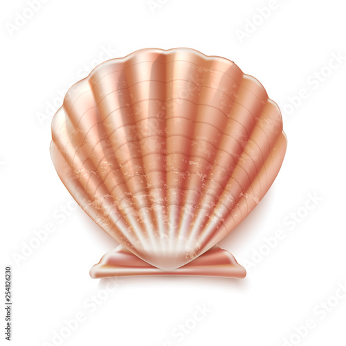 Vector pearl seashell mother shell luxury sign