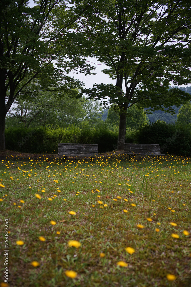 Obraz premium ベンチ