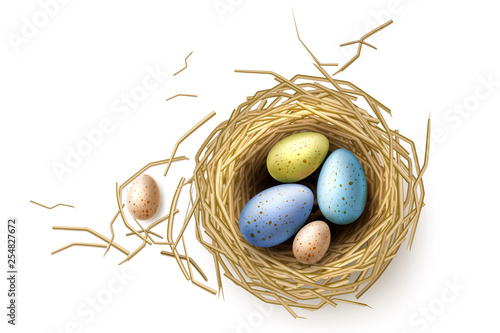 Vector quail, chicken eggs in nest easter holiday