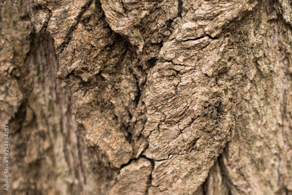 Seamless tree bark background. Brown tileable texture of the old tree. Seamless tree bark background. Brown tileable texture of the old tree.