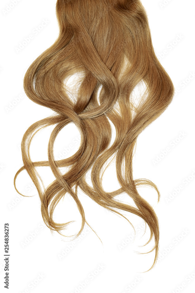 Disheveled brown hair isolated on white background Disheveled brown hair isolated on white background