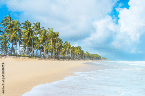 Tropical beach. Soft ocean wave, green palm tree and blue sky.
