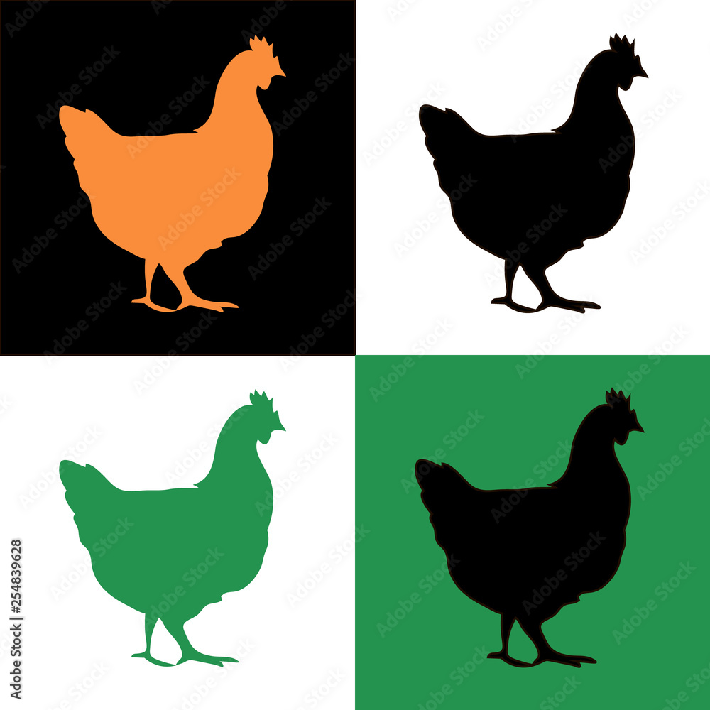 Fototapeta premium Chicken set on black, green and no background.