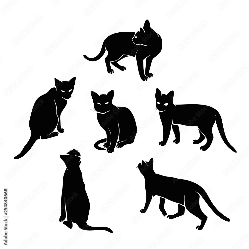 Set of Various Cats Silhouette Set of Various Cats Silhouette