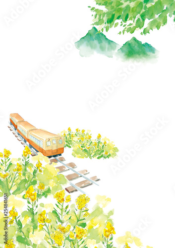 なの花畑を走るレトロな列車　水彩イラスト