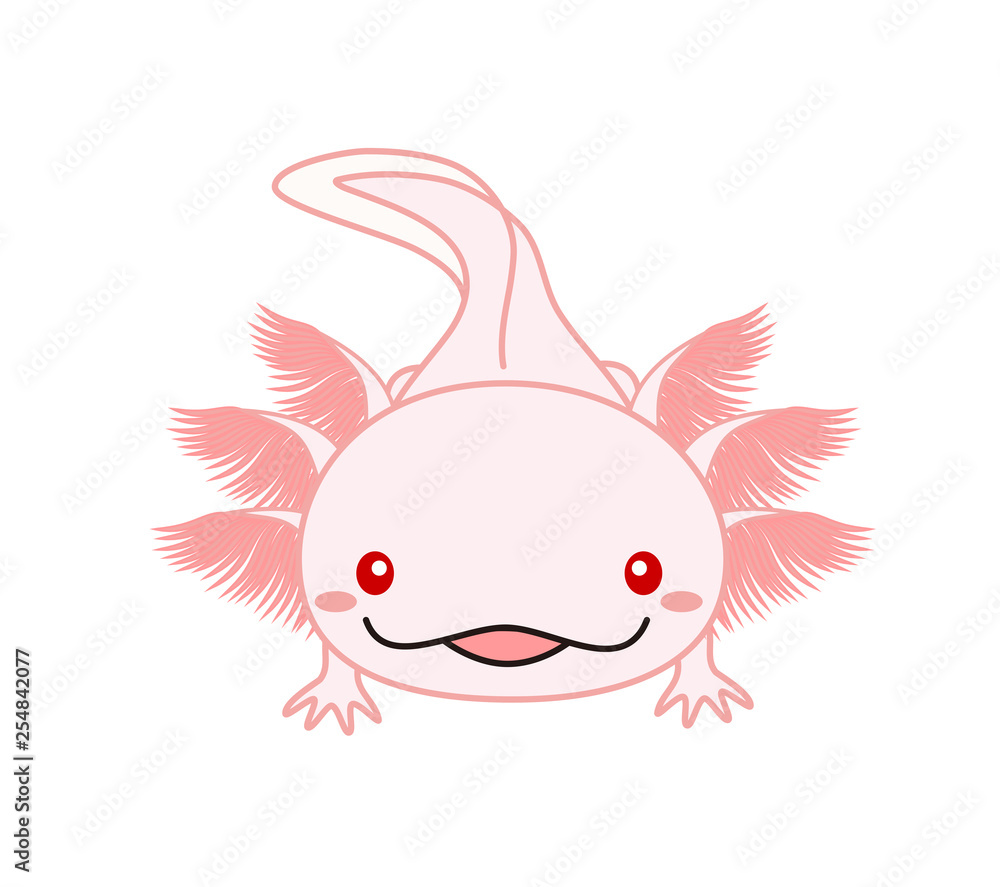 ウーパールーパー アルビノ ホワイト Www Nuvisionhighschool Com