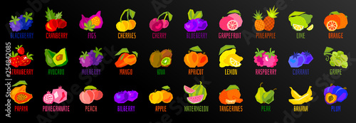 Big set of fruit icons isolated on black background. Colorful tropical fruits leaves lettering. Concept graphic vector element.