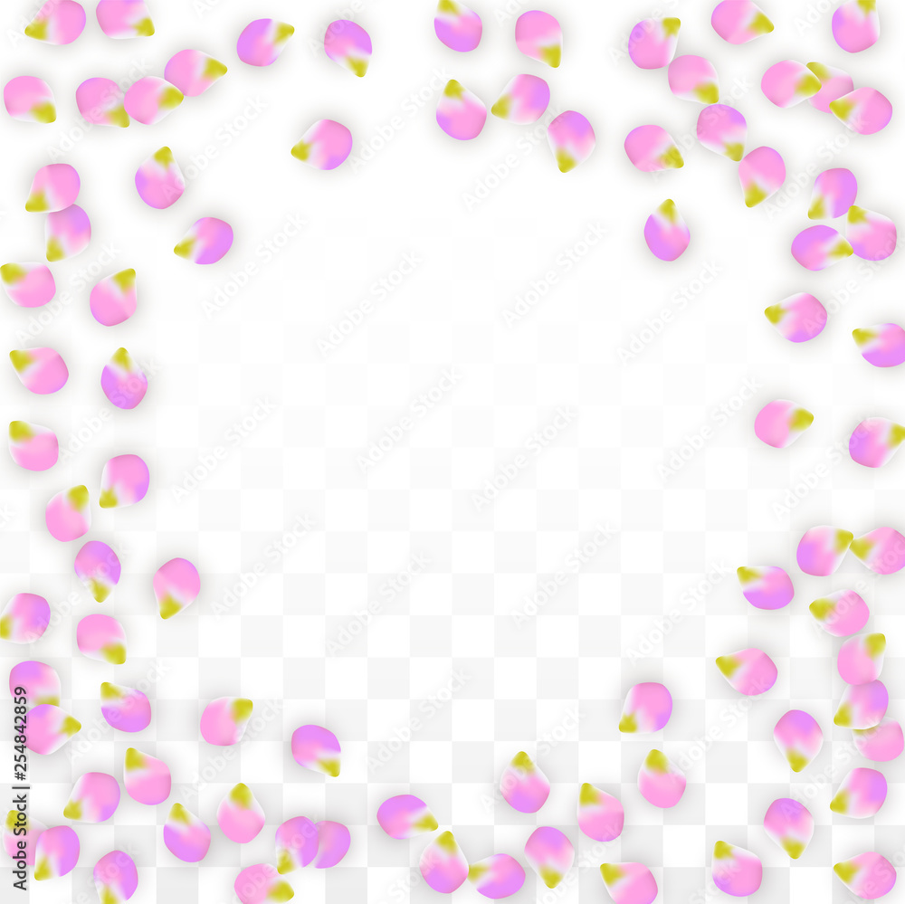 Vector Realistic Pink Petals Falling on Transparent Background. Spring Romantic Flowers Illustration. Flying Petals. Sakura Spa Design. Blossom Confetti. Vector Realistic Pink Petals Falling on Transparent Background. Spring Romantic Flowers Illustration. Flying Petals. Sakura Spa Design. Blossom Confetti.