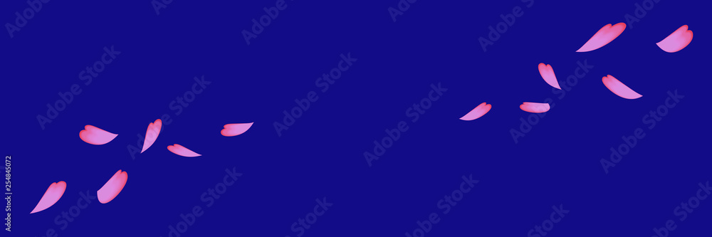 Obraz premium Simple background material that cherry blossom petals dance. 桜の花びらが舞うシンプルな背景素材